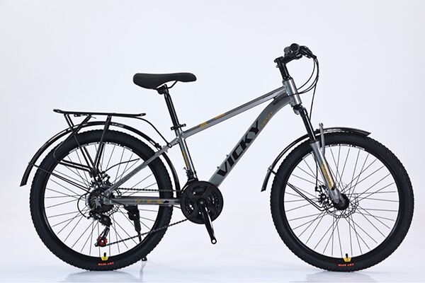 Xe đạp địa hình thể thao Vicky Crazy VC2200